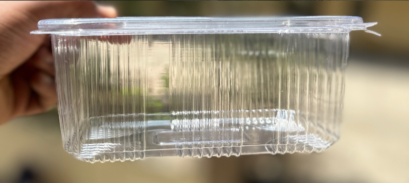 PVC Hinged Box - 1000 ML