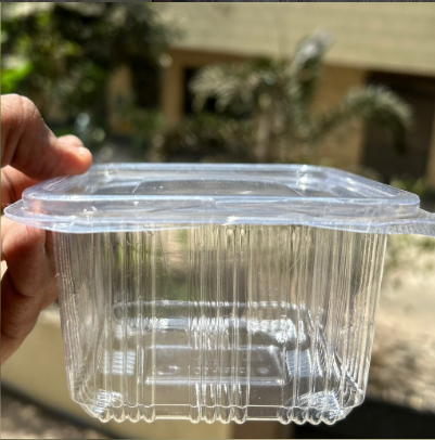 PVC Hinged Box - 500 ML