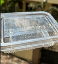 PVC Hinged Box - 600 ML