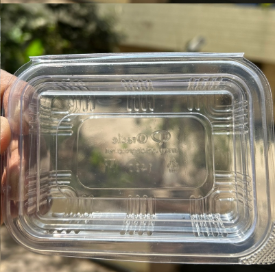 PVC Hinged Box - 600 ML