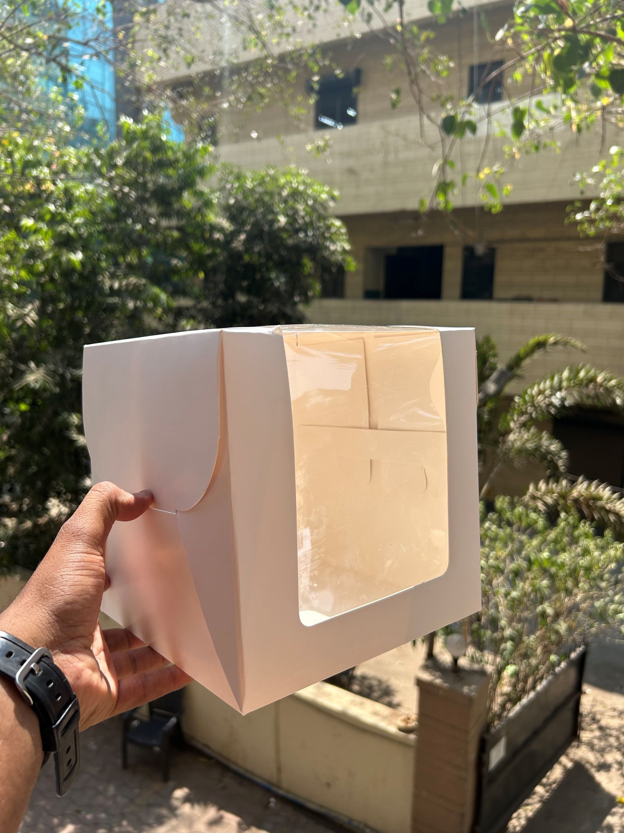 Tall Cake Boxes 8 inch