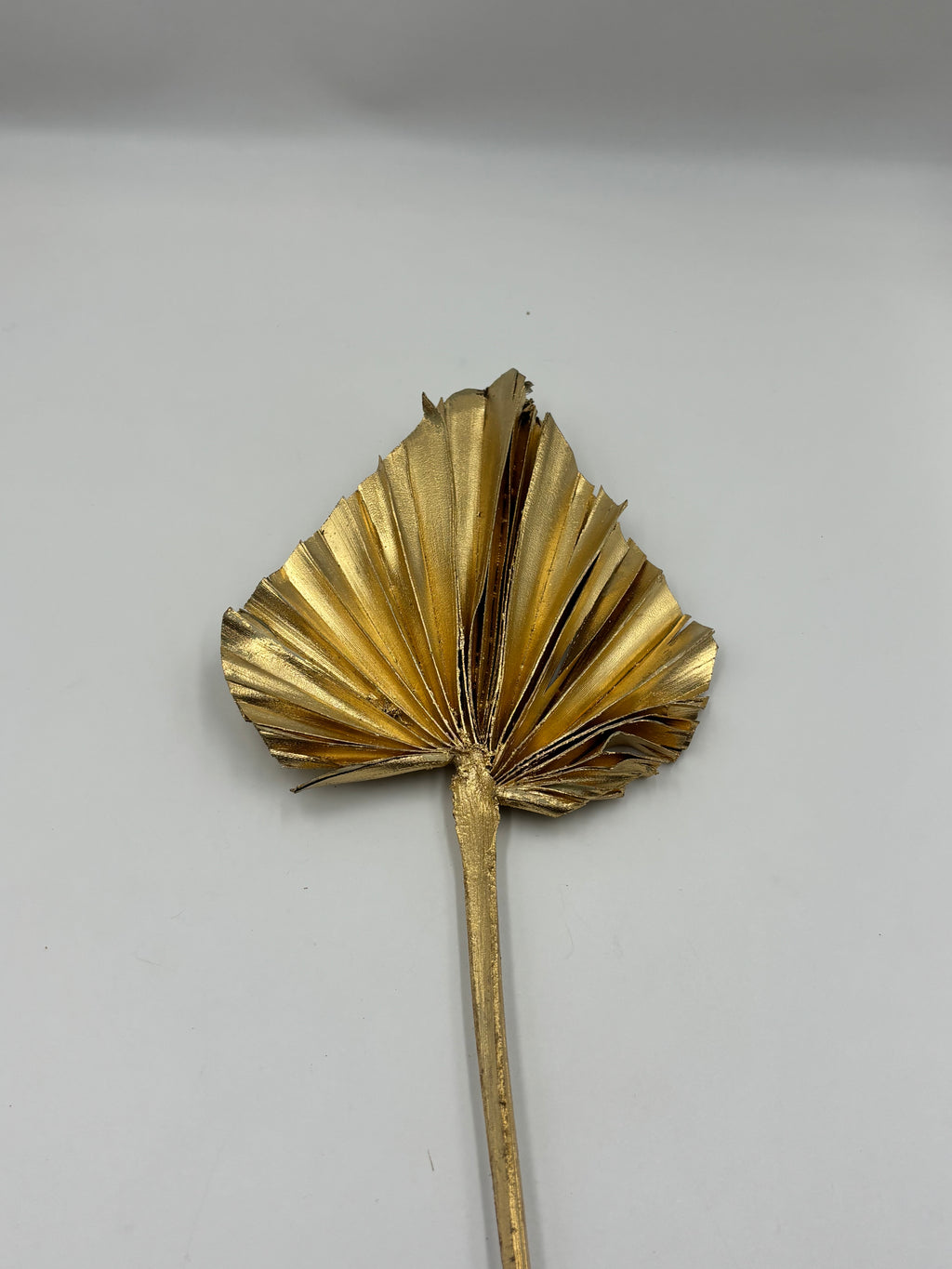Golden Palm Leaf