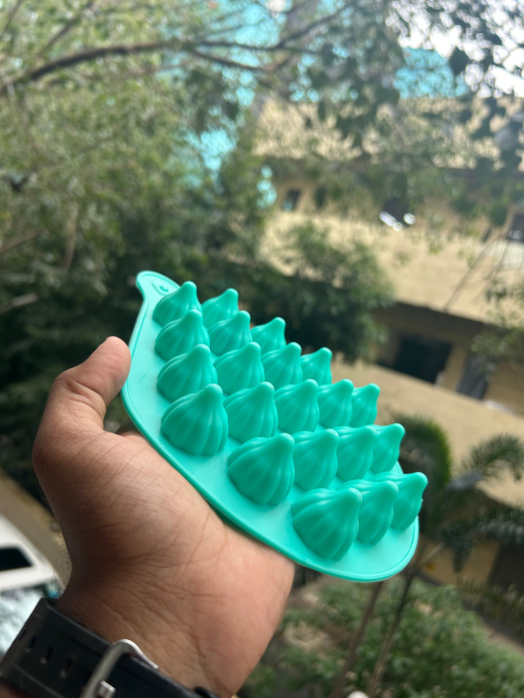 Modak Silicone Mould
